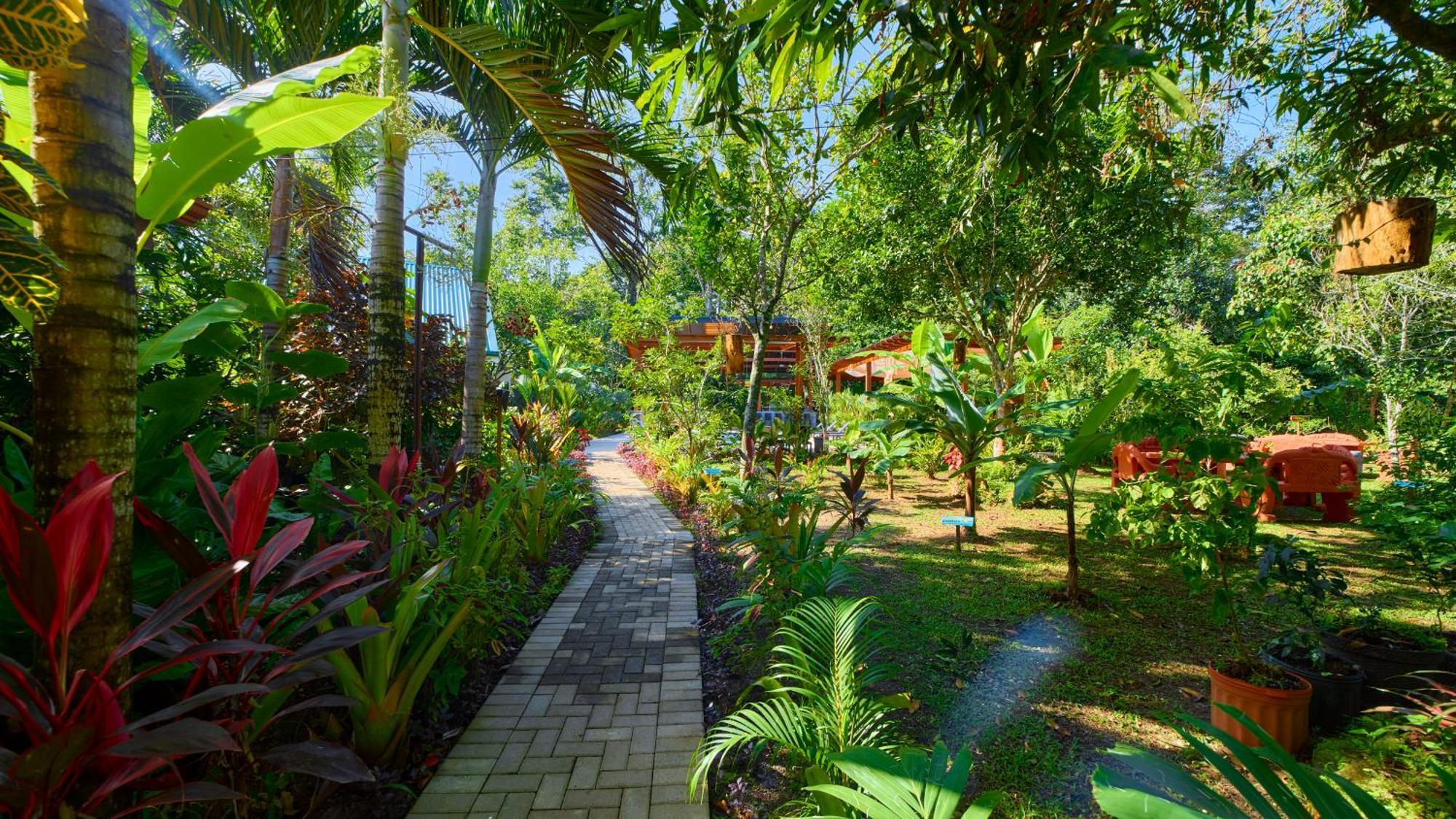 Casa Coki - Modern Villa Pool Steps From The Beach Puerto Viejo de Talamanca Exterior foto