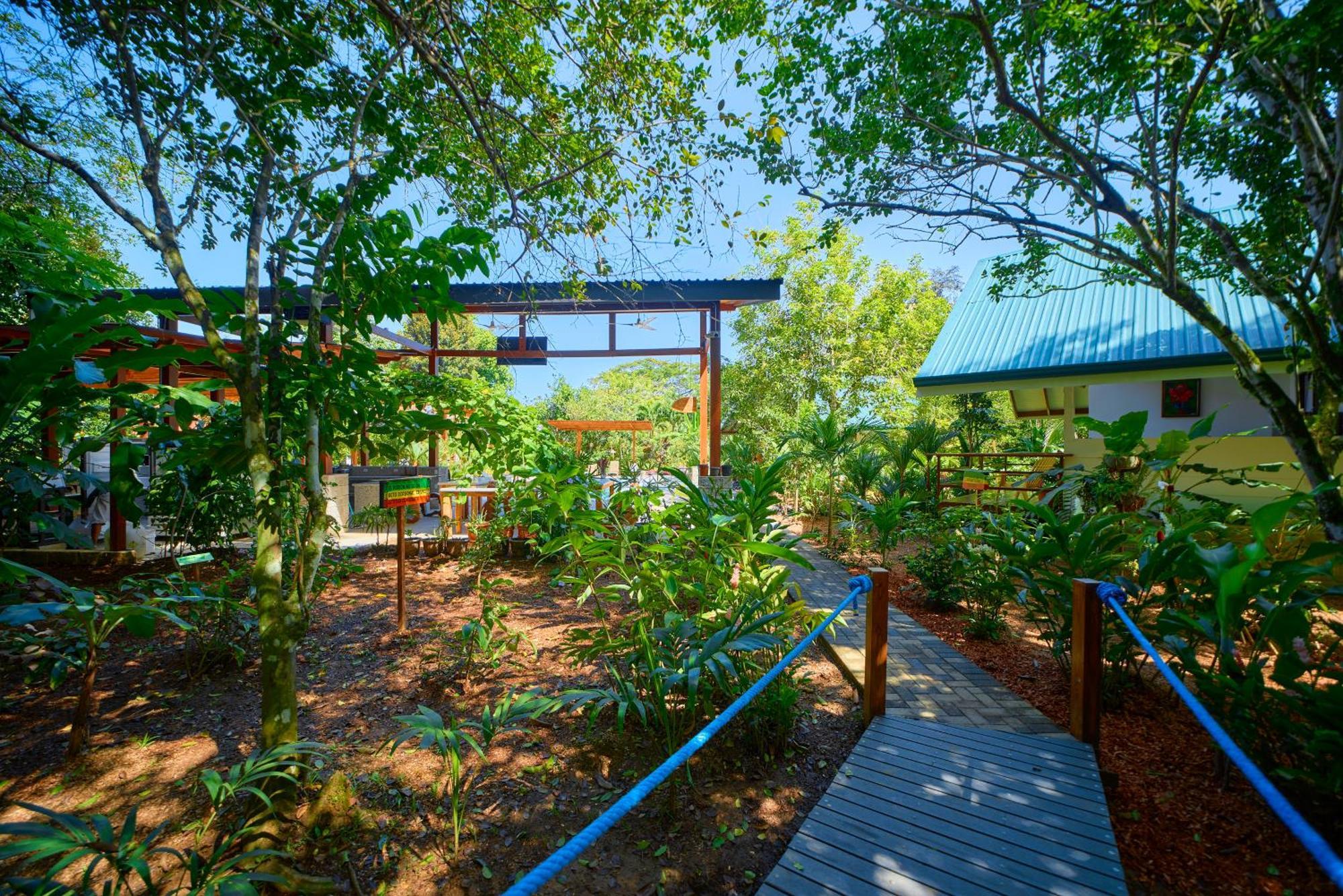 Casa Coki - Modern Villa Pool Steps From The Beach Puerto Viejo de Talamanca Exterior foto